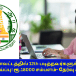 District Child Protection Unit Chennai Recruitment 2025