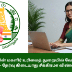 District Women Empowerment Centre Job Recruitment 2025