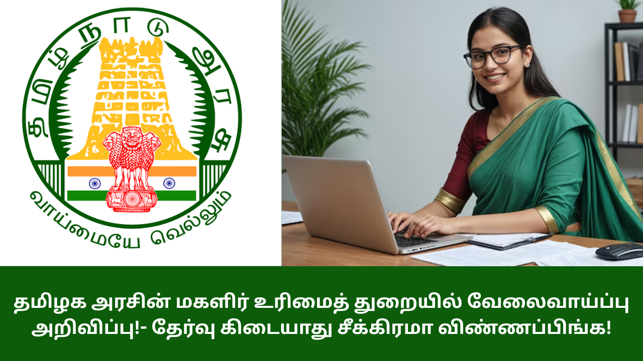 District Women Empowerment Centre Job Recruitment 2025