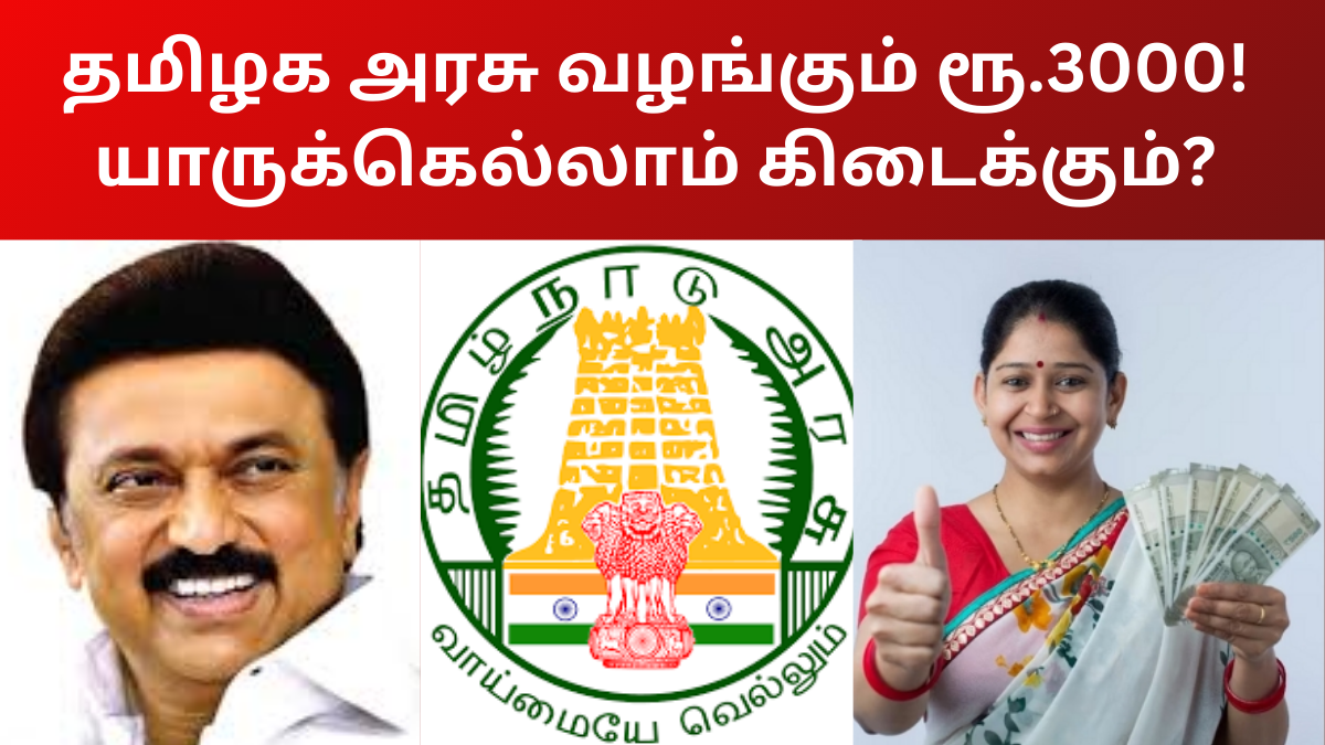 TN Government Provided 3000 Stifund