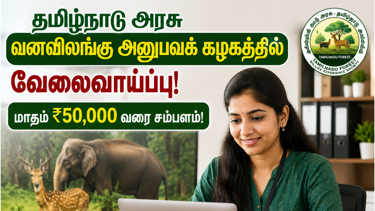 TNWEC Recruitment 2026